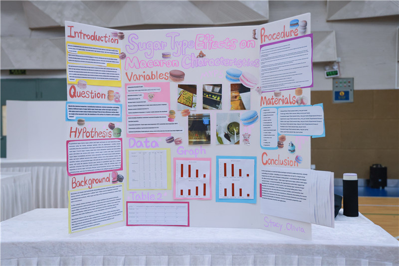 MYP5-How Different Sugar Types Affect Macarons.jpg