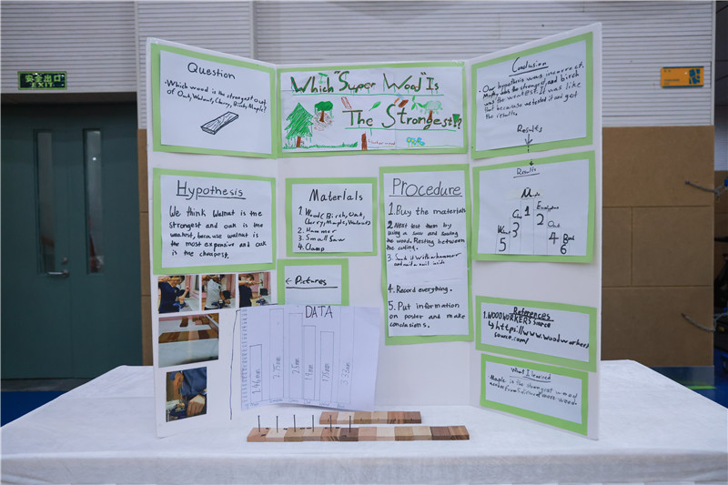 G4-Which ‘Super Wood’ is the Strongest.jpg